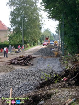 IMGP1367