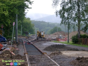 IMGP1379