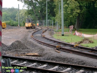 IMGP1381