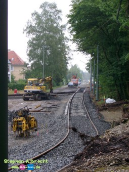 IMGP1382
