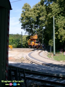 IMGP1440