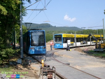 IMGP1482