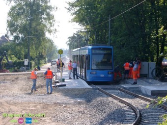 IMGP1485