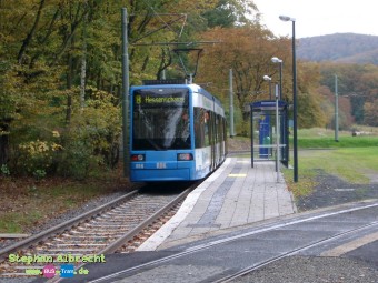 IMGP2645