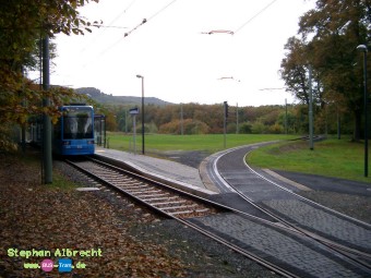 IMGP2646