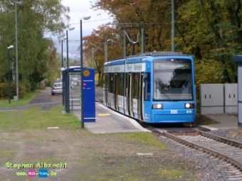 IMGP2648
