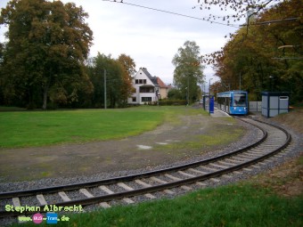 IMGP2649