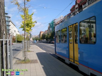 IMGP2657