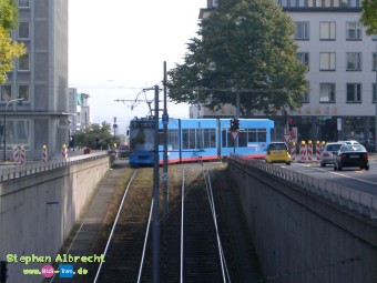 IMGP2815