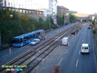 IMGP2876