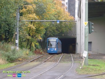 IMGP2893