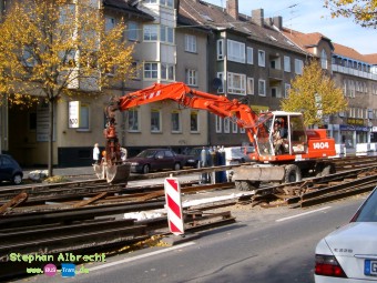 IMGP2908