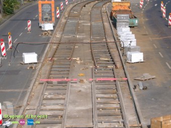 IMGP2926