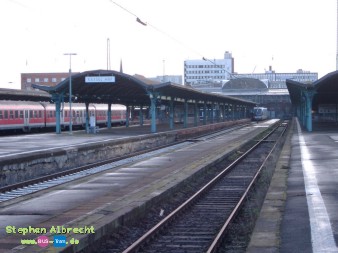 IMGP3563