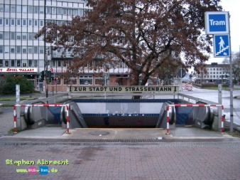 IMGP3675