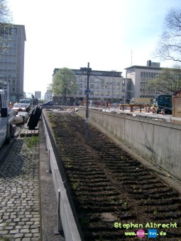 IMGP4394