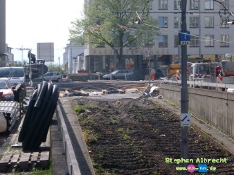 IMGP4395