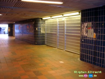 IMGP4398