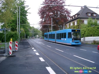 IMGP4491