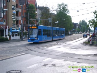 IMGP4494