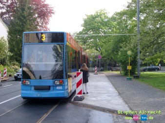 IMGP4504