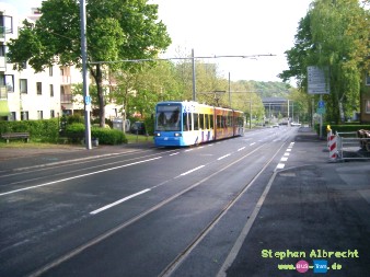IMGP4507