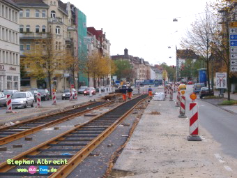 IMGP2961