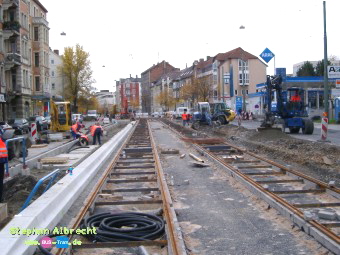 IMGP2973