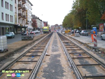 IMGP2974