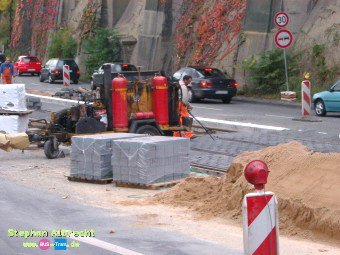 IMGP2992