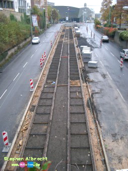 IMGP3003