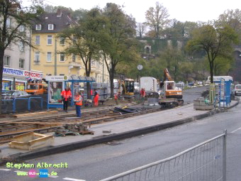 IMGP3006
