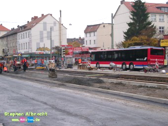 IMGP3009