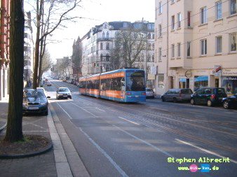 IMGP4361