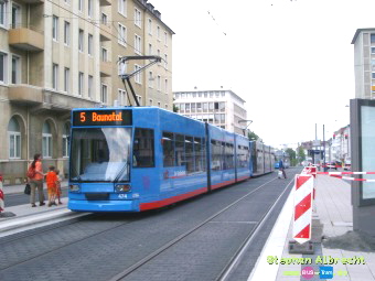 IMGP5163